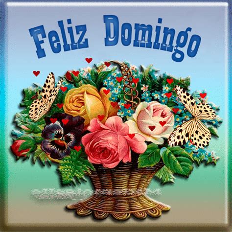 feliz domingo gif